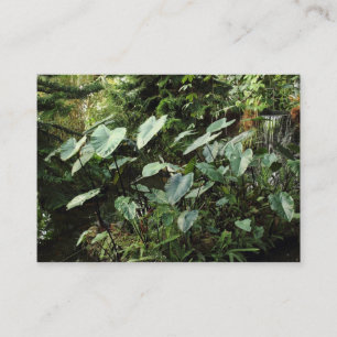 Cartão De Visita Jardins Botânicos
