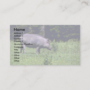 Cartão De Visita Javali selvagem