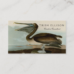 Cartão De Visita John James Audubon Brown Pelican Trabalho de arte 