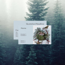 Kinglets coroados de ouro