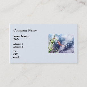 Cartão De Visita Koi na água de roda