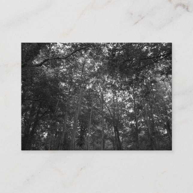 Cartão De Visita Lá em cima, Mini Foto (Frente)