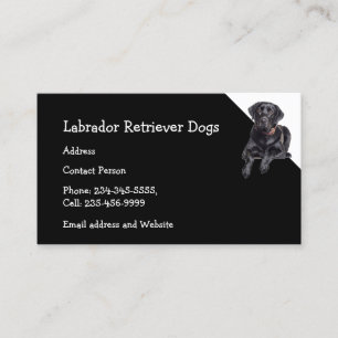 Cartão De Visita Labrador Retriever Cães Criador Pet Sitter