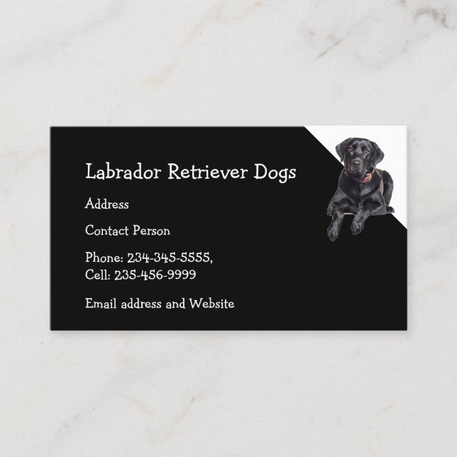 Cartão De Visita Labrador Retriever Cães Criador Pet Sitter (Frente)