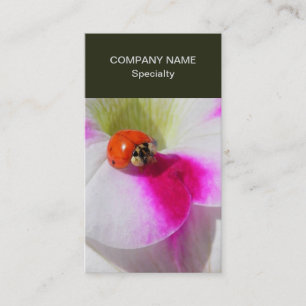 Cartão De Visita Ladybug na petúnia
