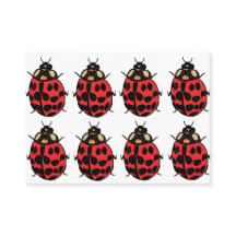 Ladybug Red Black Insett Ladybug