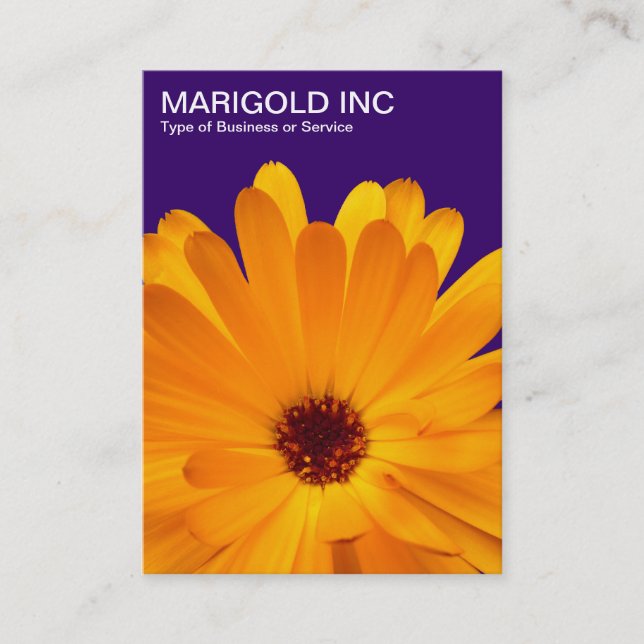 Cartão De Visita Laranja Marigold - Roxo Profundo (Frente)