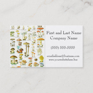 Cartão De Visita Larousse Mushroom Fungus Nature Art Painting