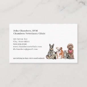 Cartão De Visita Lembrete de Negócios e Compromissos Veterinários