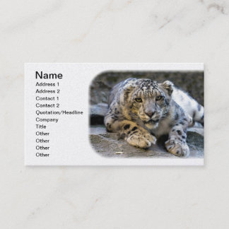 Cartão De Visita Leopardo-da-neve, o gato felino estrelado