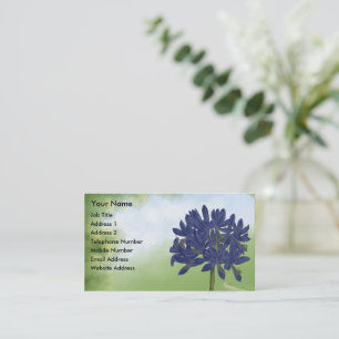 Cartão De Visita Lilac Blue Agapanthus no Jardim