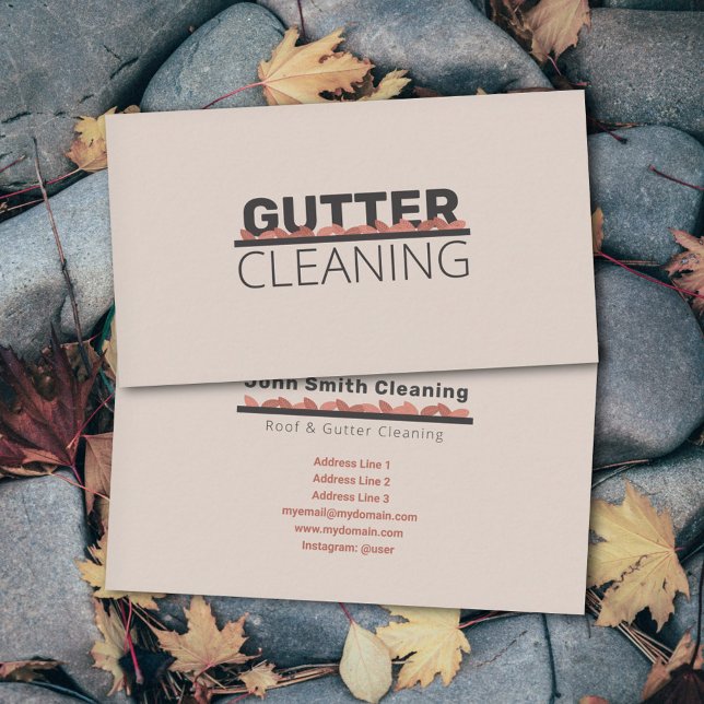 Cartão De Visita Limpeza de Gutter (Gutter Cleaning Business Card)