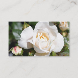 Cartão De Visita Linda, elegante flor de rosa branca profissional