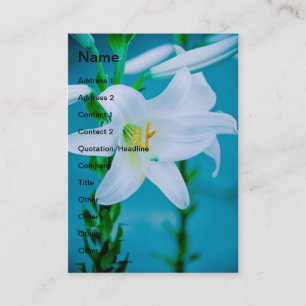 Cartão De Visita Lírio branco