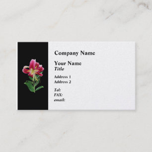 Cartão De Visita Lírio Olhar para Cima