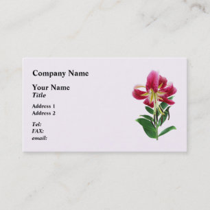 Cartão De Visita Lírio Stargazer Olhando para Baixo