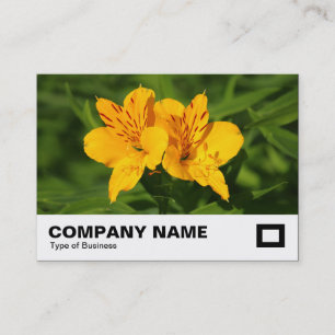 Cartão De Visita Lírios peruanos