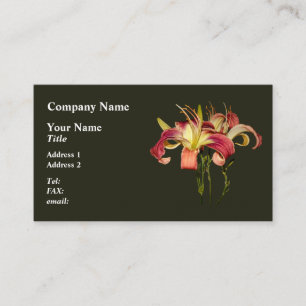 Cartão De Visita Lírios Rosa Escuros Com Centros Amarelos
