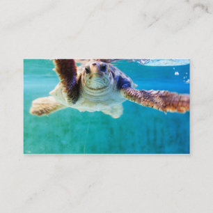 Cartão De Visita Loggerhead nº 4 Mini Impressão