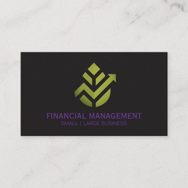 Cartão De Visita Logotipo Geométrico da Finance Leaf (Frente)