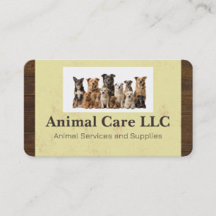Cartão De Visita Loja de Animais   Serviços para Animais