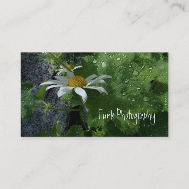 Cartão De Visita Luz do sol após a chuva (Frente)