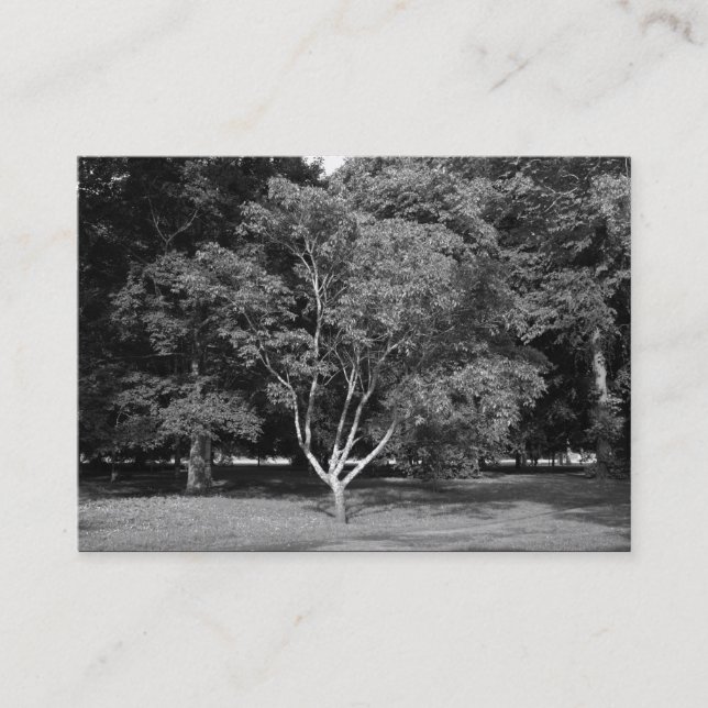 Cartão De Visita Magnolia Tree BW (Frente)