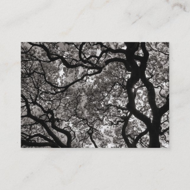 Cartão De Visita Magnolia Tree in Blossom 02 (Frente)