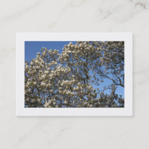 Cartão De Visita Magnolia Tree in Blossom (Bordada)