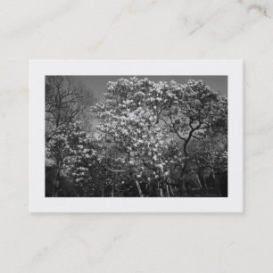 Cartão De Visita Magnolia Tree in Blossom (Bordada)