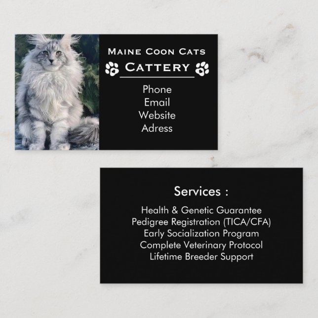 Cartão De Visita Maine Coon Cattery & Professional Breeder Black (Frente/Verso)