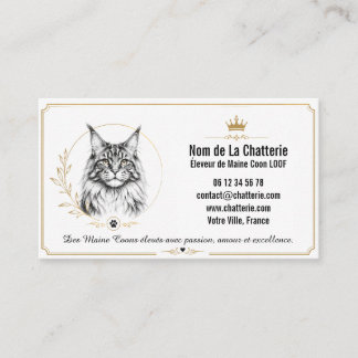 Cartão De Visita Maine Coon Chatterie LOOF Personnalisée Moderne