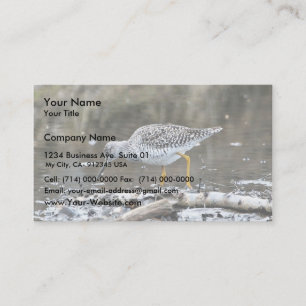 Cartão De Visita Maior Yellowlegs