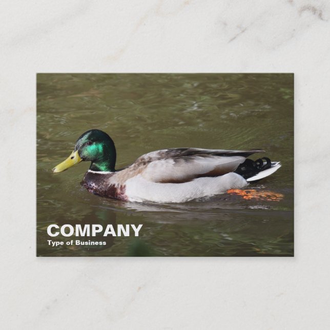 Cartão De Visita Mallard Duck (Frente)