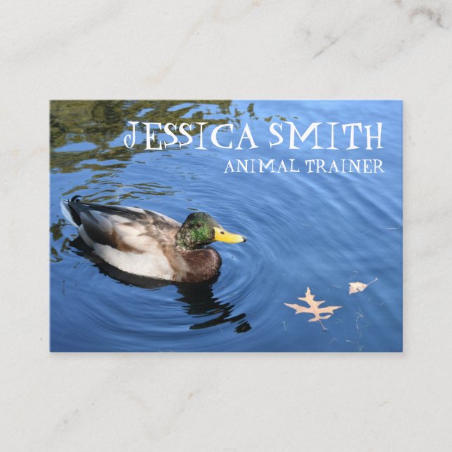 Cartão De Visita Mallard Duck Bird Blue Water Nature Fotografia (Frente)