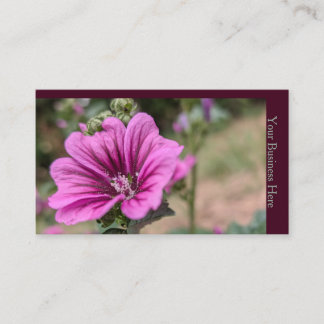 Cartão De Visita Malva Roxa Silvestre