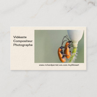 Cartão De Visita Mapa de visita R.P