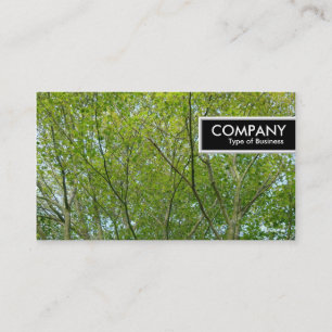 Cartão De Visita Marca de borda - Mapeamento Japonês