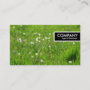 Cartão De Visita Marca de Borda - Sombra de Dandelion 02