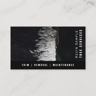 Cartão De Visita Marca de Serviço de Remoção de Limpeza de Árvore M
