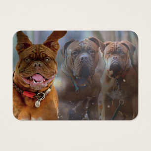 Cartão de visita Mastiff Plus