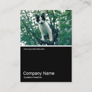 Cartão De Visita Meia e meia foto 0249 - Superfluity of Naughtiness