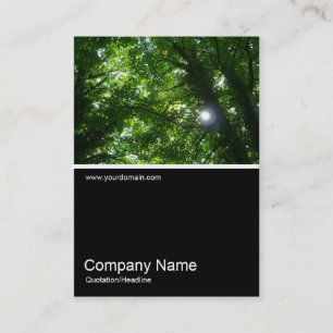 Cartão De Visita Meia e meia foto 027 - Sol nas árvores