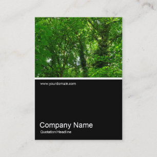 Cartão De Visita Meia e meia foto 028 - nas árvores