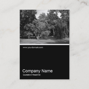 Cartão De Visita Meia e meia foto 0330 - Árvores no Verão