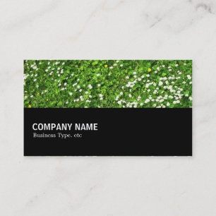 Cartão De Visita Meia-Feira 030 - Daisies