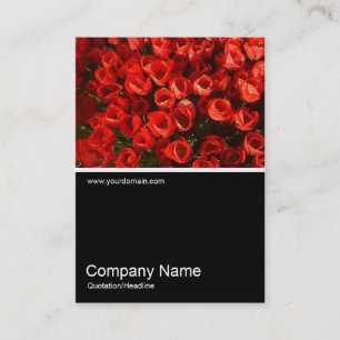 Cartão De Visita Meia &Foto 01