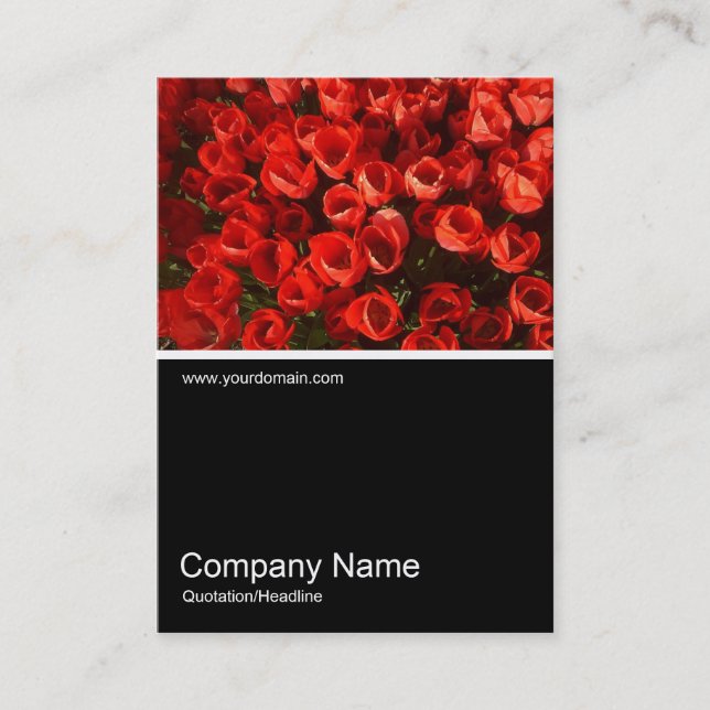 Cartão De Visita Meia &Foto 01 (Frente)