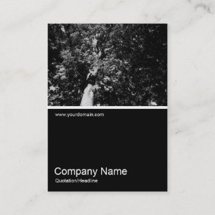 Cartão De Visita Meia Foto 0107 - London Plane Tree