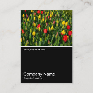 Cartão De Visita Meia Foto 0150 - Tulips Coloridos